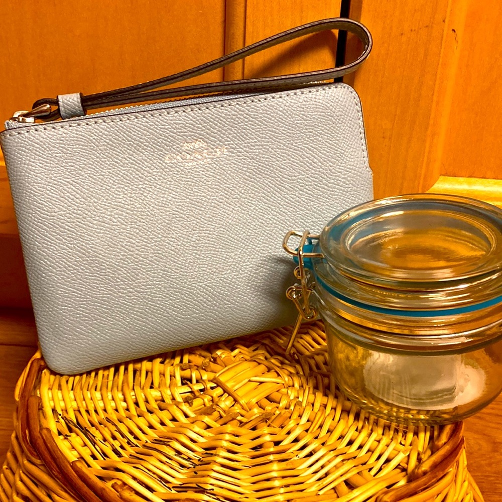 Coach Wristlet Silver/waterfall.